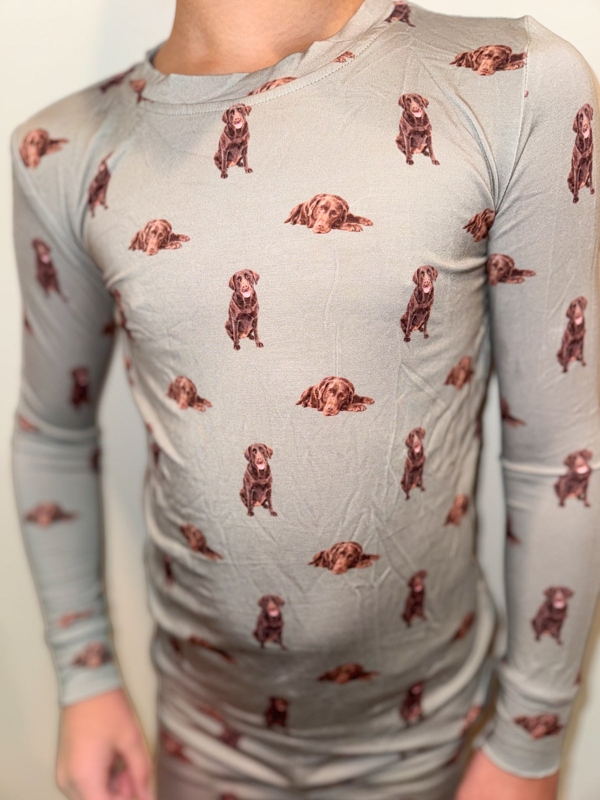 Lab Bamboo Pajama Set